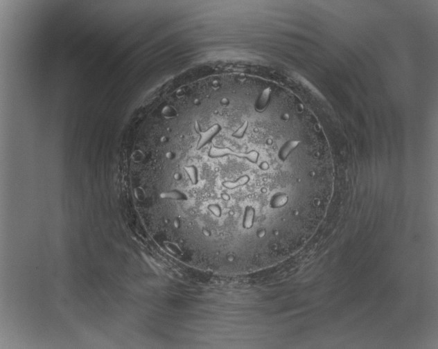 X0000072510775200607211356