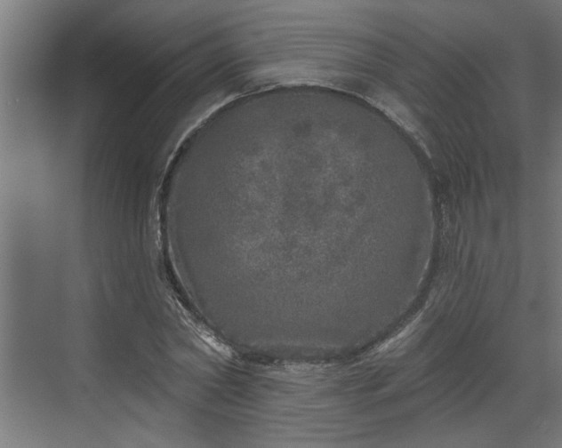 X0000072510782200607211356