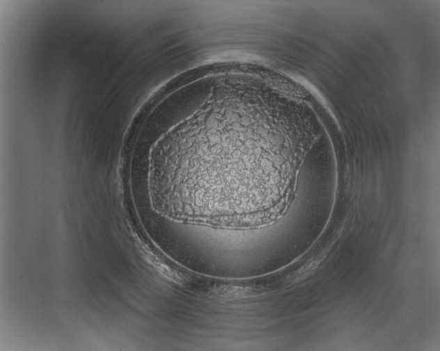 X0000072510783200607211356