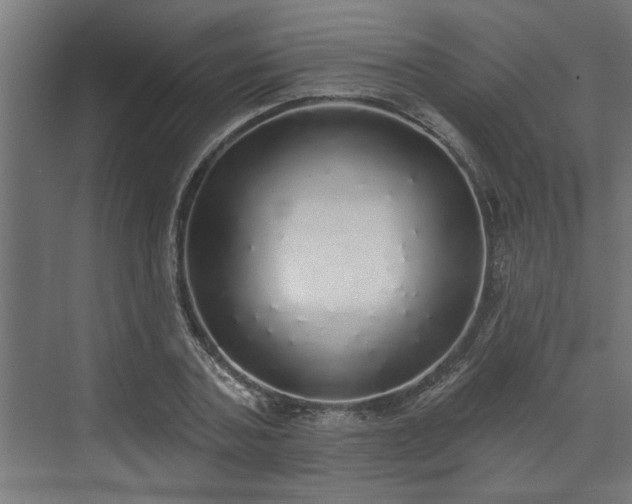 X0000072510787200607211356