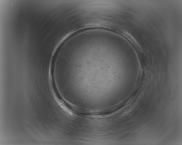 X0000072510788200607211356