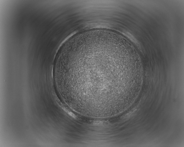 X0000072510790200607211356