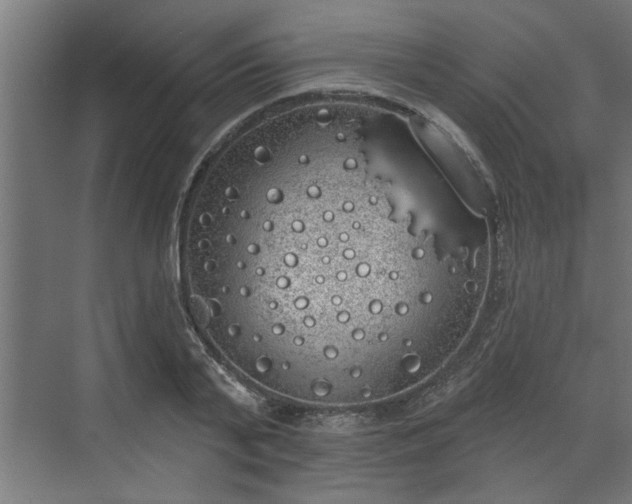 X0000072510791200607211356