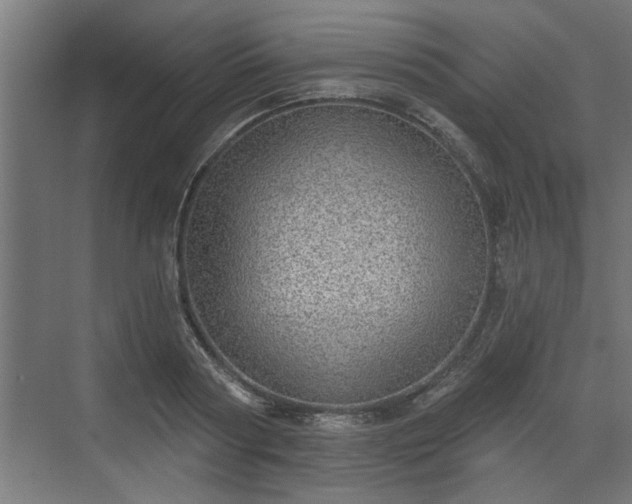 X0000072510794200607211356