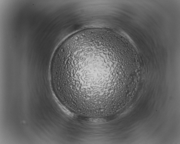 X0000072510795200607211356