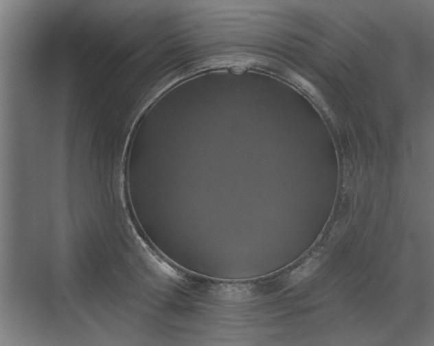 X0000072510802200607211356