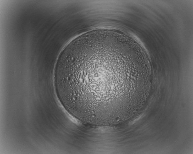 X0000072510803200607211356