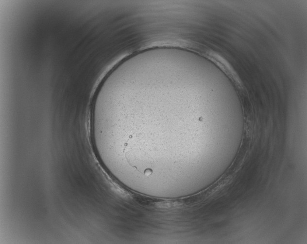 X0000072510804200607211356