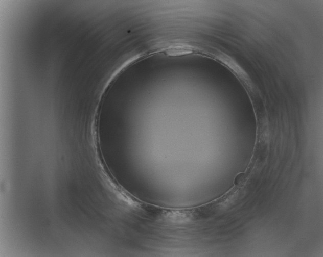 X0000072510806200607211356