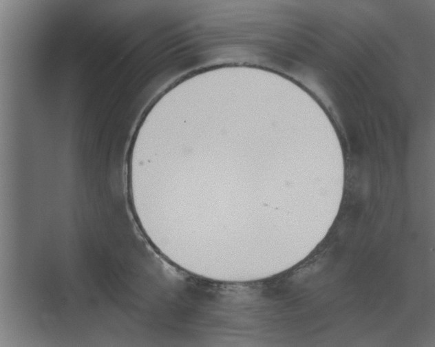 X0000072510807200607211356