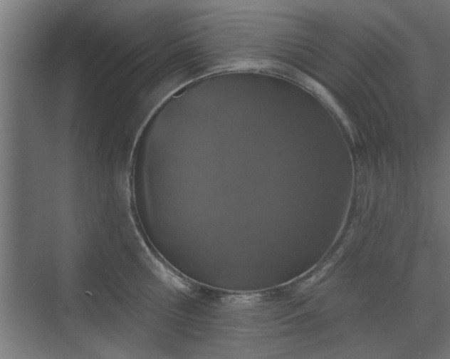 X0000072510810200607211356