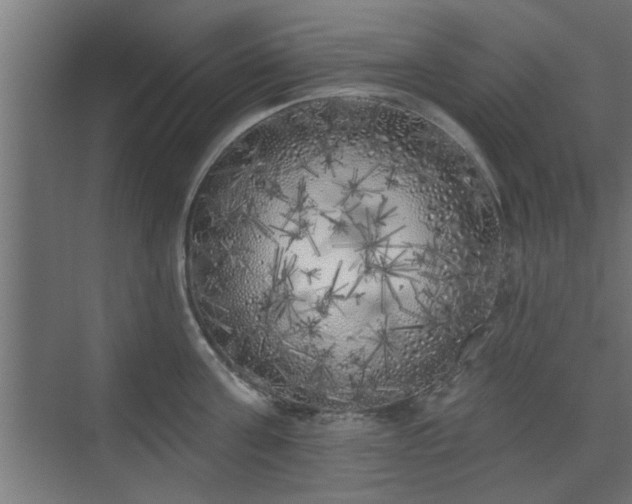 X0000072510811200607211356