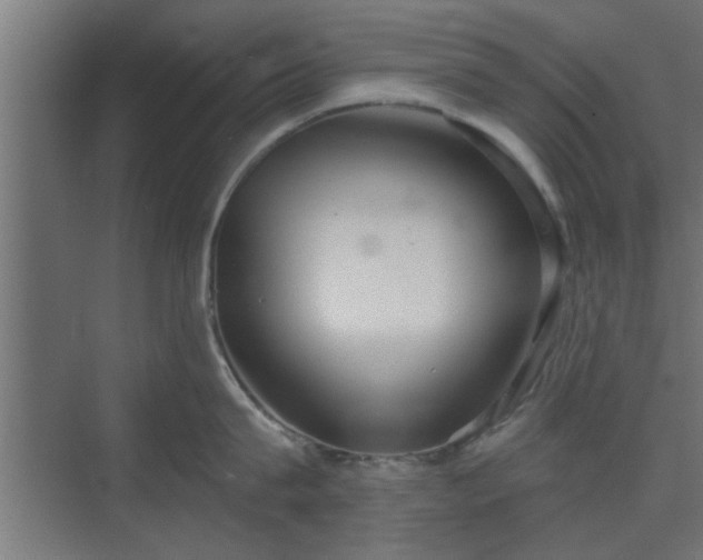 X0000072510815200607211356