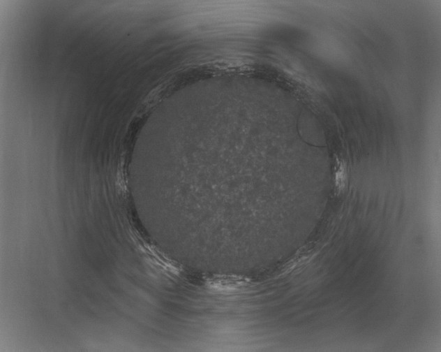 X0000072510819200607211355