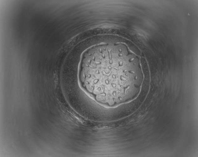 X0000072510821200607211355