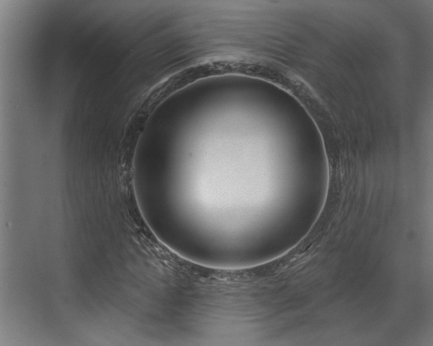 X0000072510822200607211355