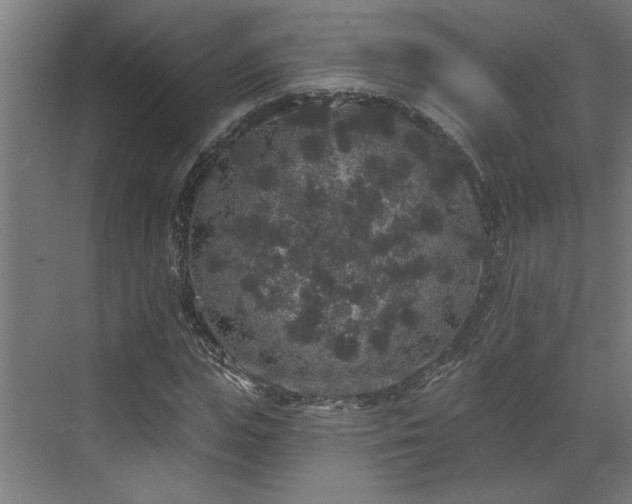 X0000072510823200607211355