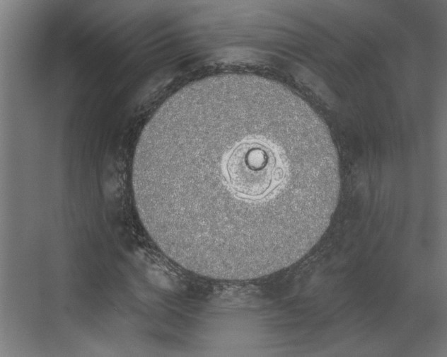 X0000072510824200607211355