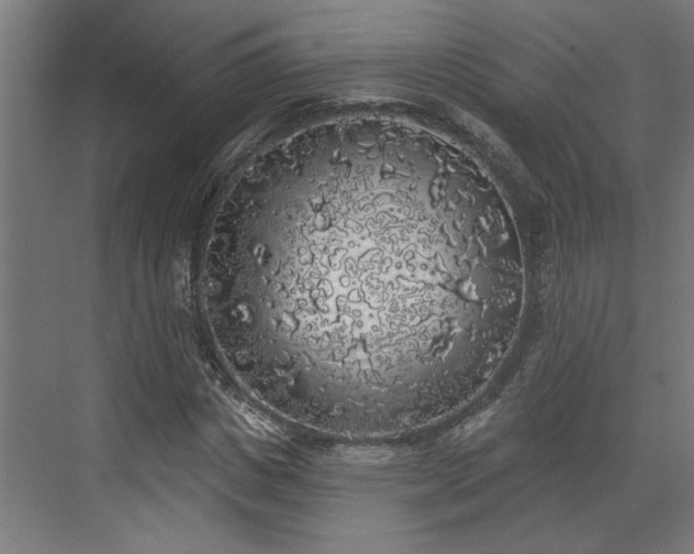 X0000072510825200607211355