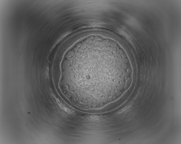 X0000072510827200607211355