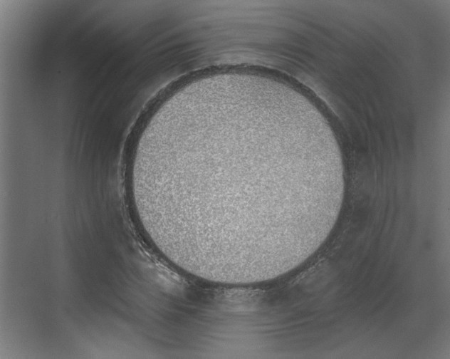 X0000072510832200607211355