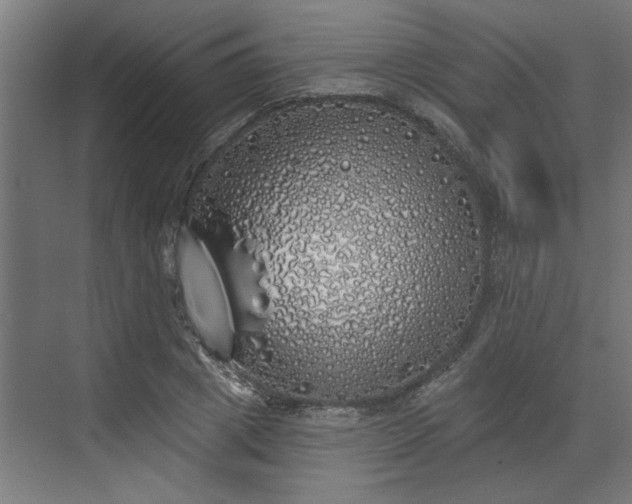 X0000072510833200607211355