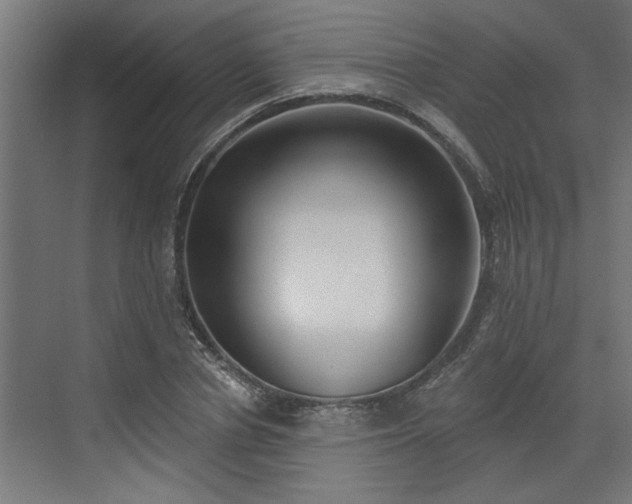 X0000072510834200607211355