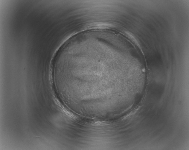 X0000072510835200607211355