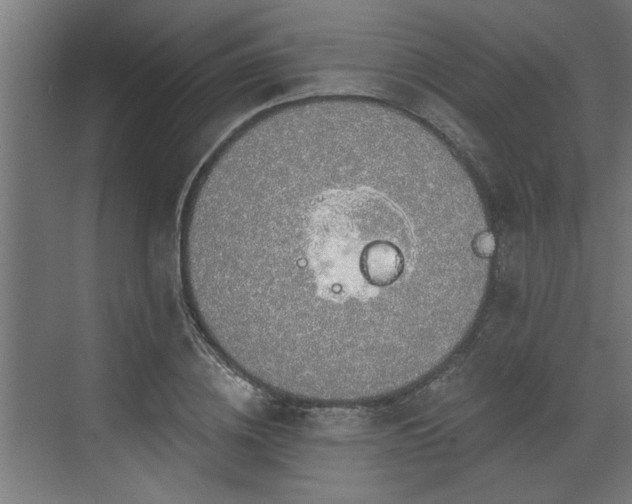 X0000072510836200607211355