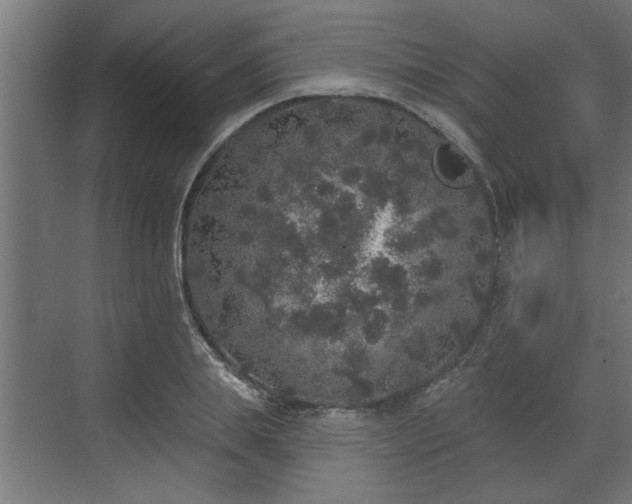 X0000072510839200607211355