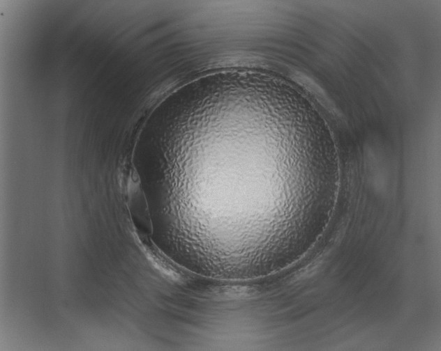 X0000072510841200607211355