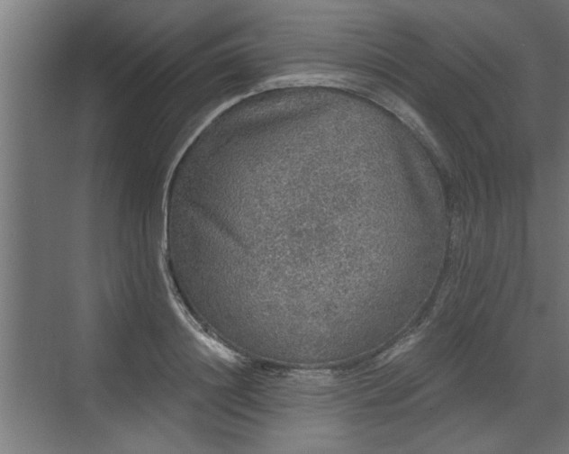 X0000072510844200607211355