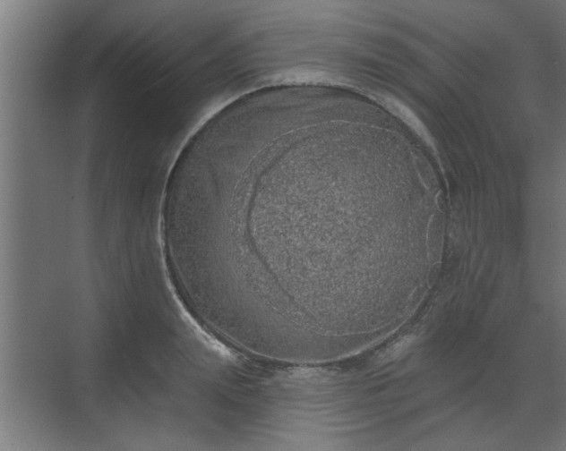 X0000072510847200607211355