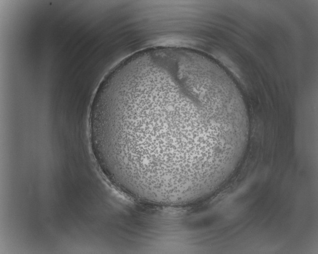 X0000072510848200607211355