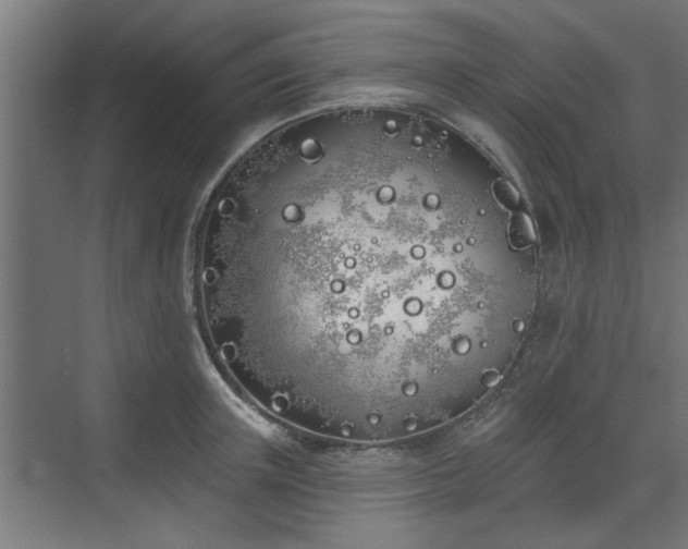 X0000072510851200607211355