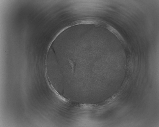 X0000072510852200607211355