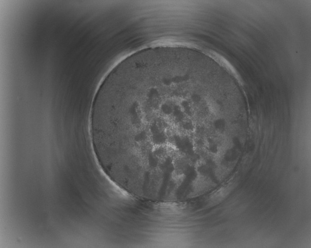 X0000072510855200607211355