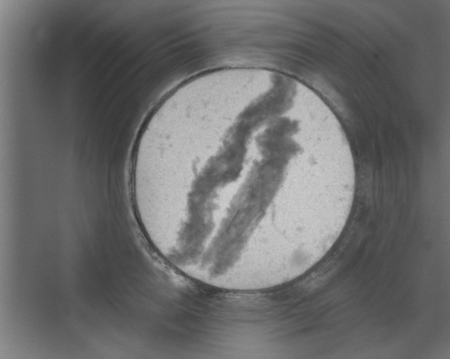 X0000072510856200607211355