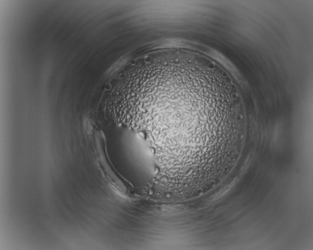 X0000072510857200607211355