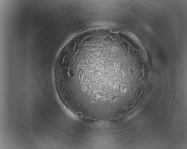 X0000072510859200607211355