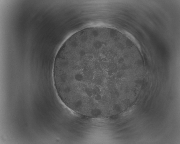 X0000072510863200607211356