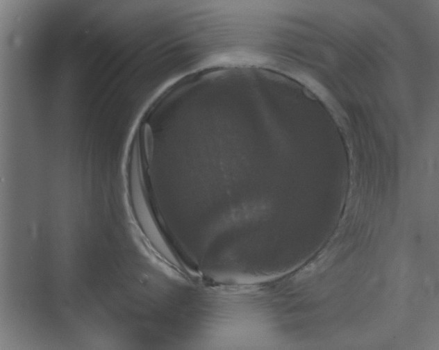 X0000072510864200607211356