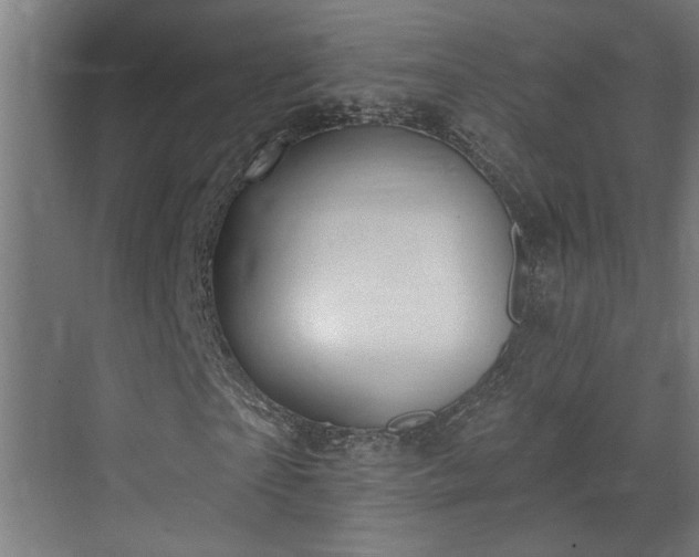 X0000072510865200607211355