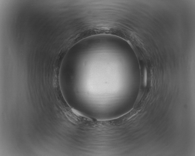 X0000072510868200607211355