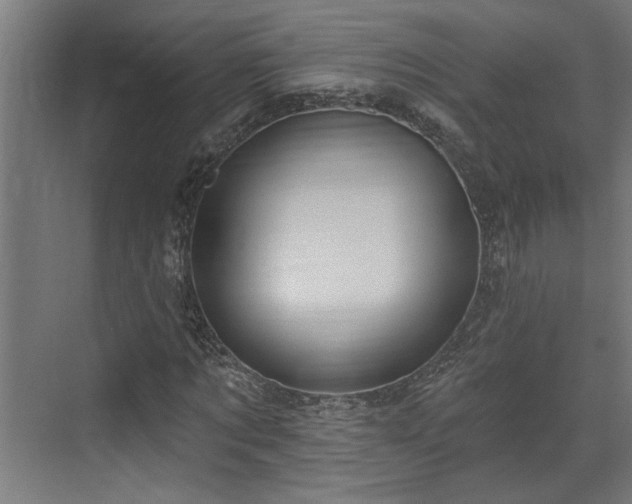 X0000072510869200607211355