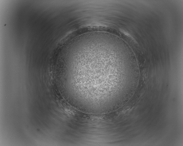 X0000072510870200607211355