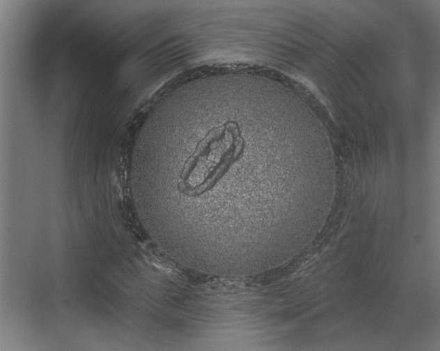 X0000072510871200607211355