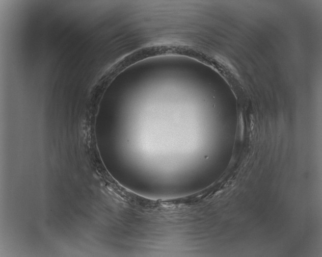 X0000072510872200607211355