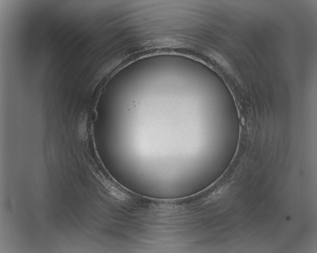 X0000072510873200607211355