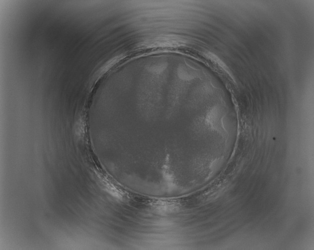 X0000072510874200607211355